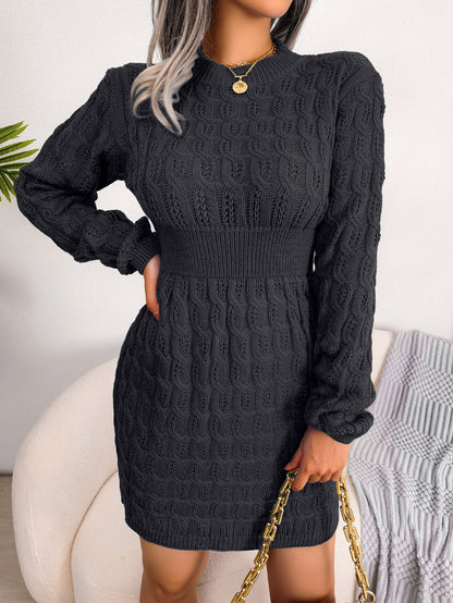 Casual Cable Knit Waist Cinched Bodycon Sweater Dress